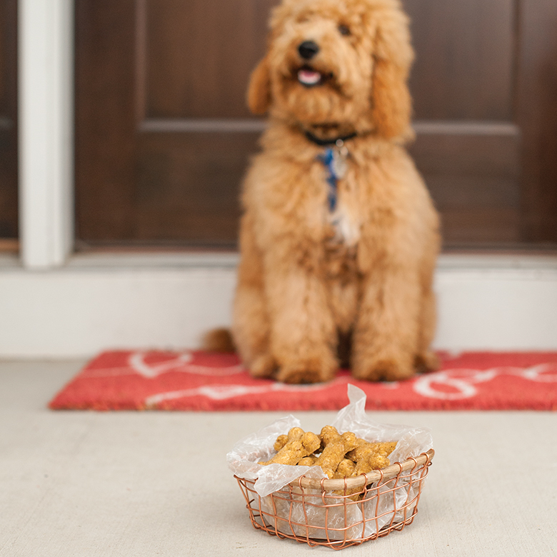 Homemade Dog Treat MixHomemade Dog Treat Mix - Image 4